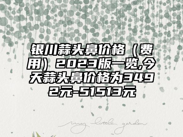 银川蒜头鼻价格（费用）2023版一览,今天蒜头鼻价格为3492元-51513元