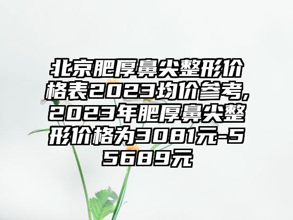北京肥厚鼻尖整形价格表2023均价参考,2023年肥厚鼻尖整形价格为3081元-55689元