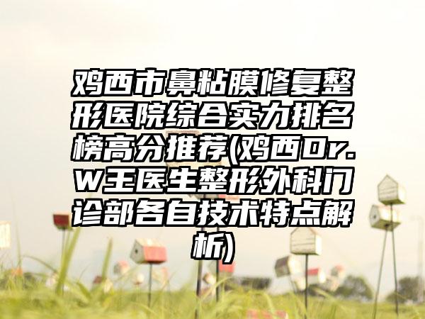 鸡西市鼻粘膜修复整形医院综合实力排名榜高分推荐(鸡西Dr.W王医生整形外科门诊部各自技术特点解析)