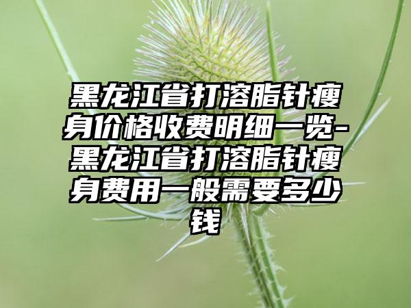 黑龙江省打溶脂针瘦身价格收费明细一览-黑龙江省打溶脂针瘦身费用一般需要多少钱