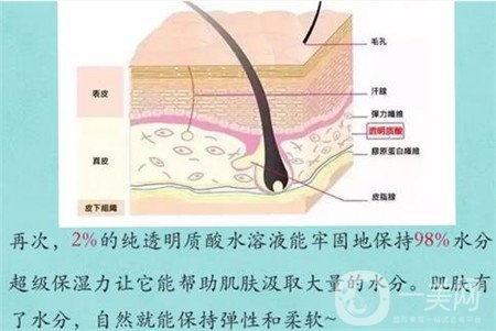 北京艺星胡锦幸打玻尿酸怎么样？简介/资质/风格/收费分享
