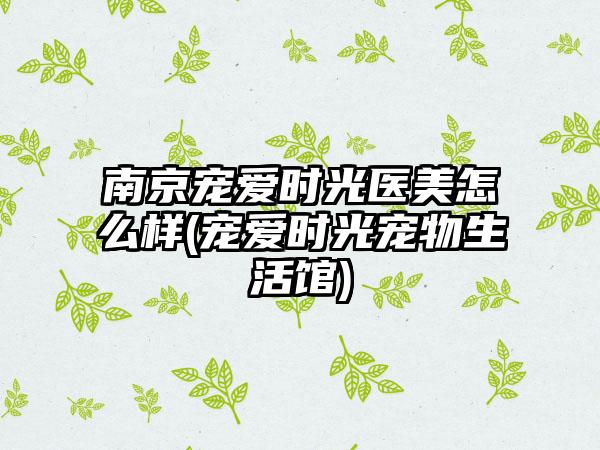 南京宠爱时光医美怎么样(宠爱时光宠物生活馆)