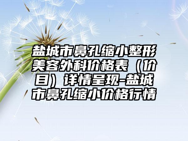 盐城市鼻孔缩小整形美容外科价格表（价目）详情呈现-盐城市鼻孔缩小价格行情