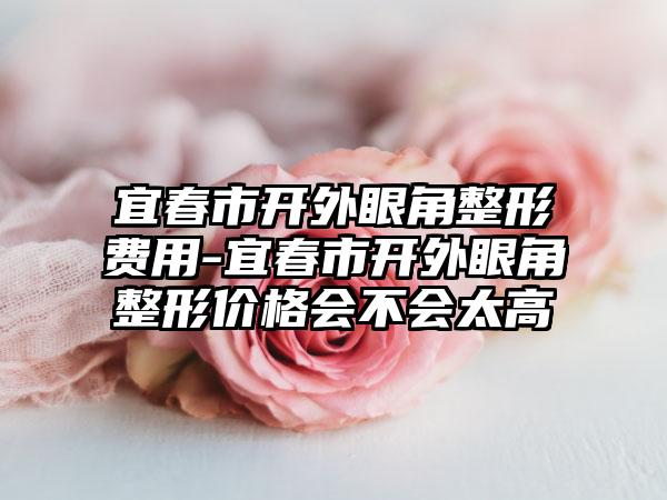 宜春市开外眼角整形费用-宜春市开外眼角整形价格会不会太高