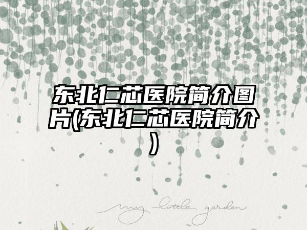 东北仁芯医院简介图片(东北仁芯医院简介)