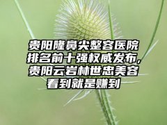 贵阳隆鼻尖整容医院排名前十强权威发布,贵阳云岩林世忠美容看到就是赚到