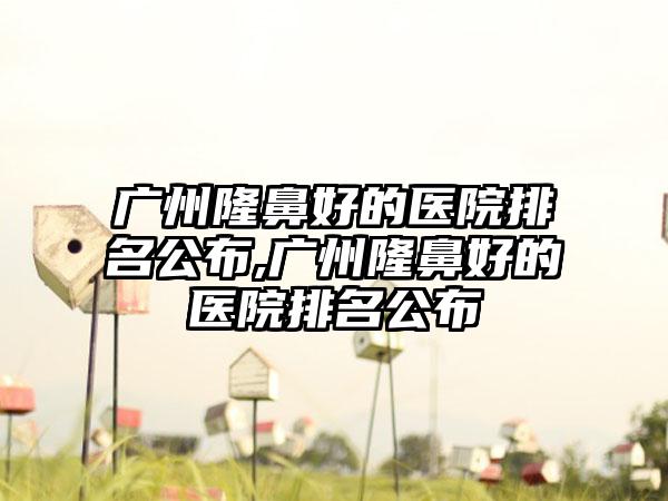 广州隆鼻好的医院排名公布,广州隆鼻好的医院排名公布