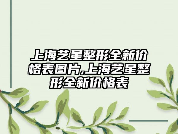 上海艺星整形全新价格表图片,上海艺星整形全新价格表