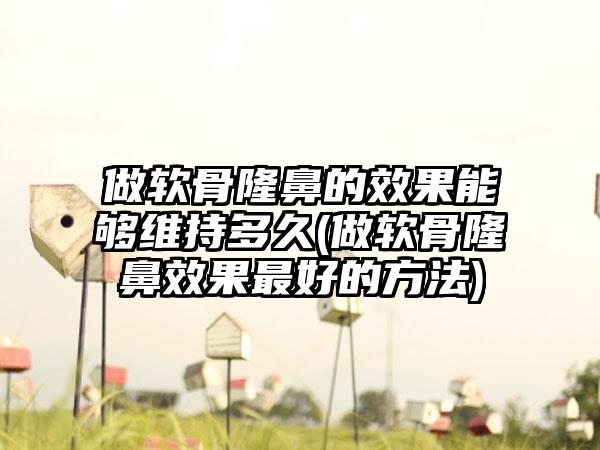 做软骨隆鼻的成果能够维持多久(做软骨隆鼻成果较好的方法)