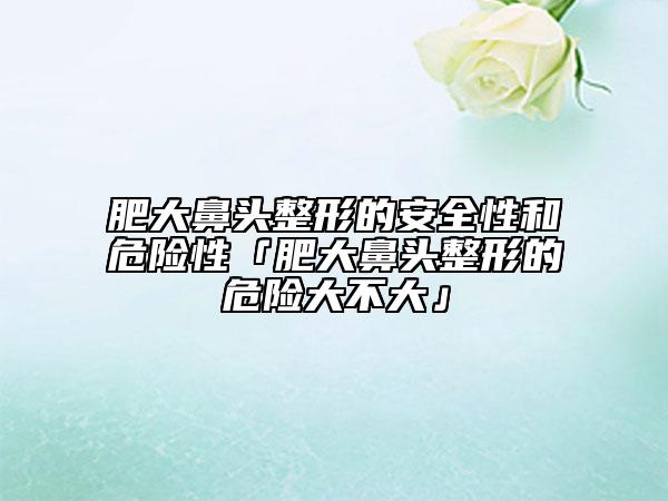 肥大鼻头整形的安好性和危险性「肥大鼻头整形的危险大不大」